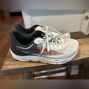 Altra Torin 6 shoes. EXCELLENT Size 10 men’s