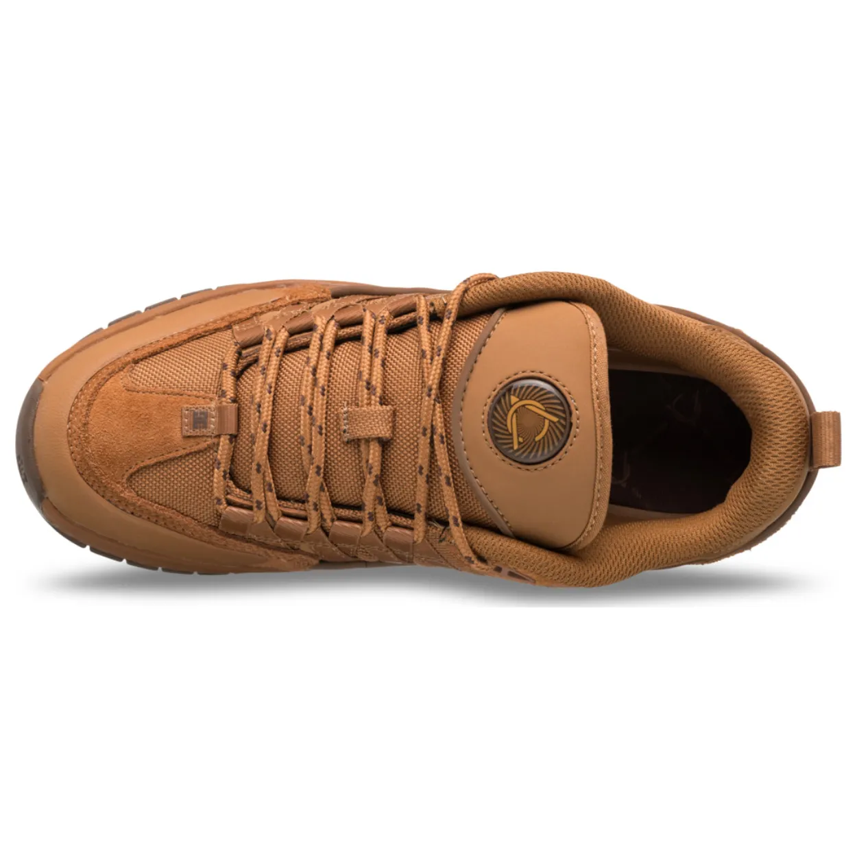 DC Lucien Skate Shoes | Brown & Tan