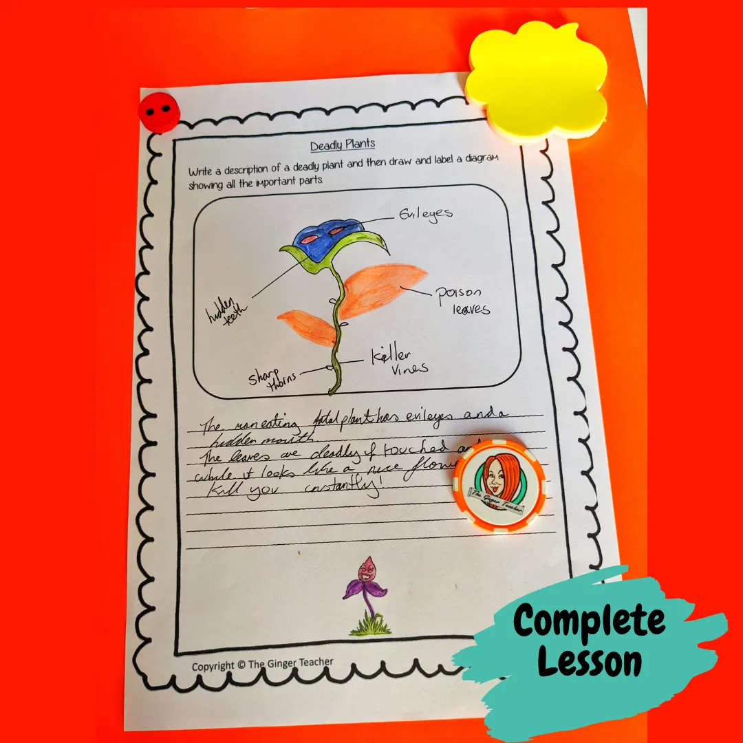 Label and Use Diagrams Lesson Awful Auntie