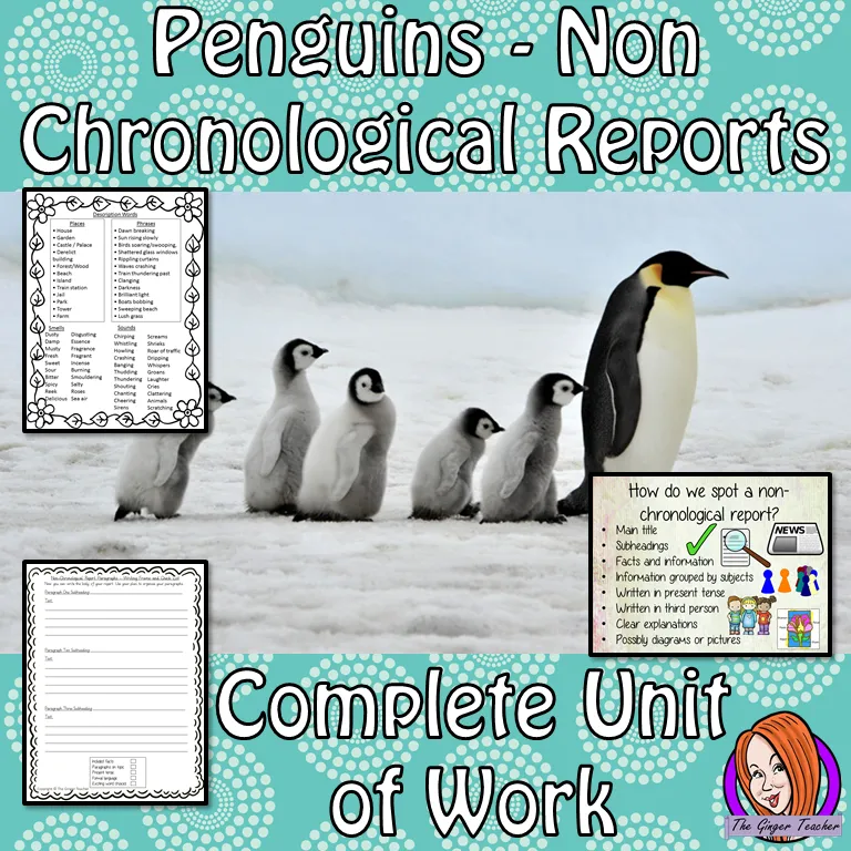 Penguins Non-Chronological Reports   -  Complete Unit of Work