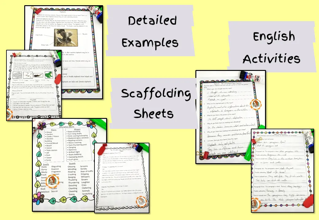 Penguins Non-Chronological Reports   -  Complete Unit of Work