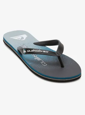 Quiksilver Molokai Art II - Black/Blue/Grey