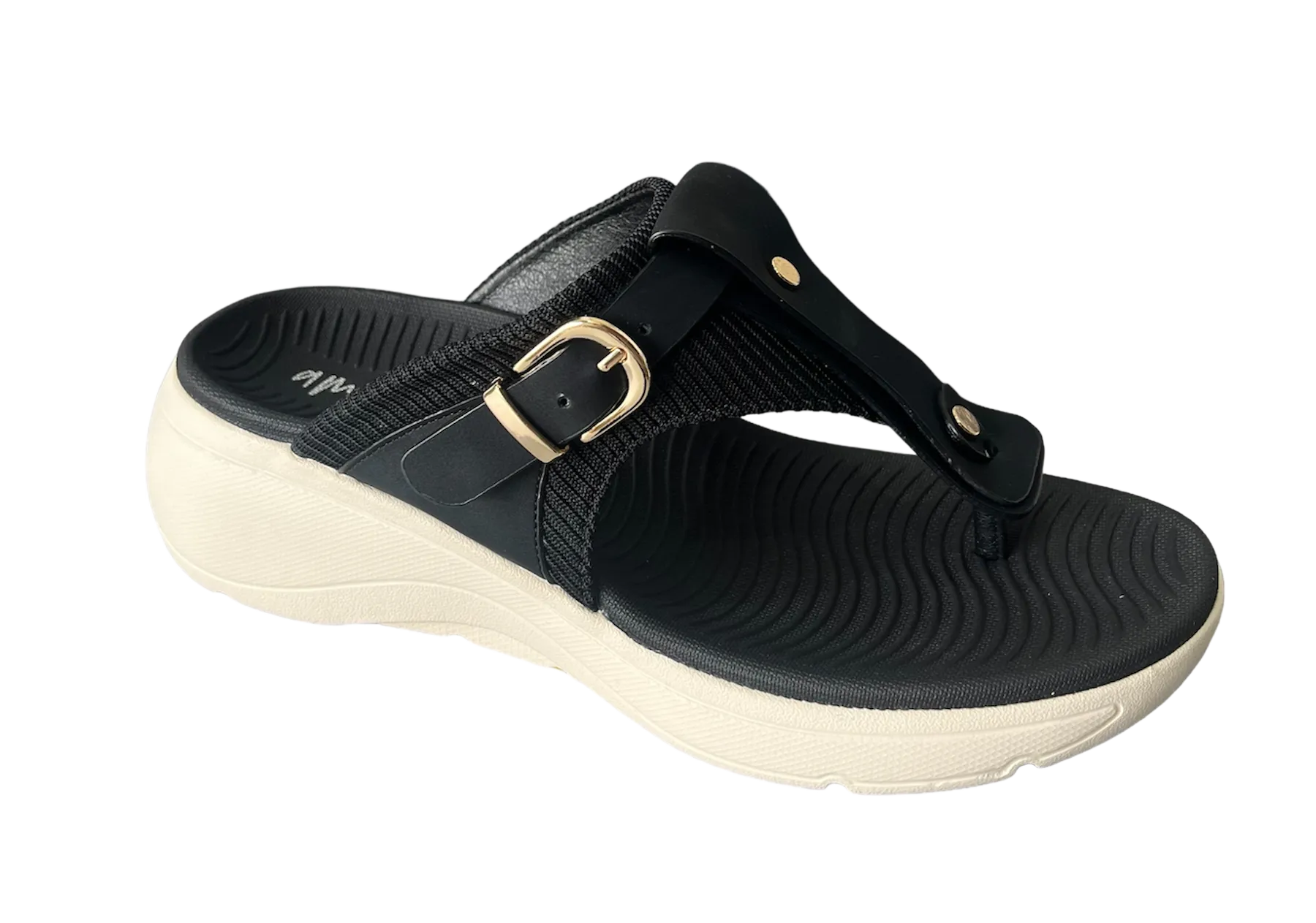S-COVE slides