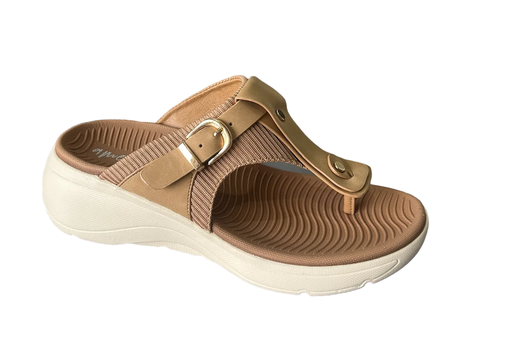 S-COVE slides