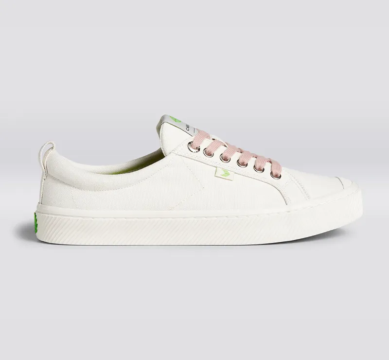 Shoe Lace Classic Rose with H Silver Tip